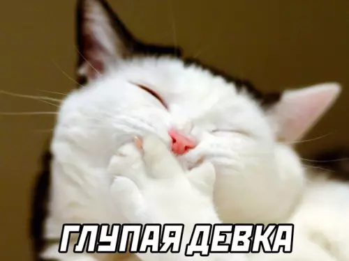 продолжение Смешная картинка №615328