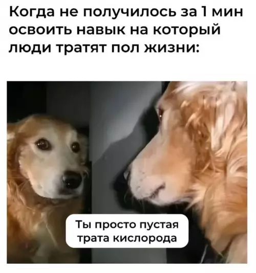 Твои попытки за 1 минуту стать гением 🤡😂 - Когда не получилось за 1 мин освоить навык на который