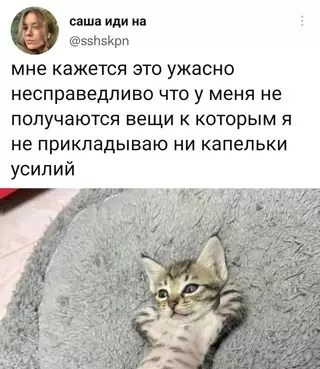Смешная картинка №672917