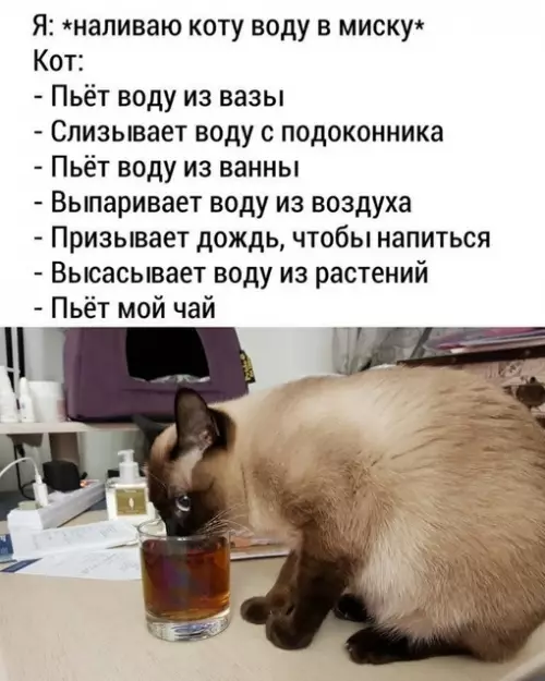 Смешная картинка №720029