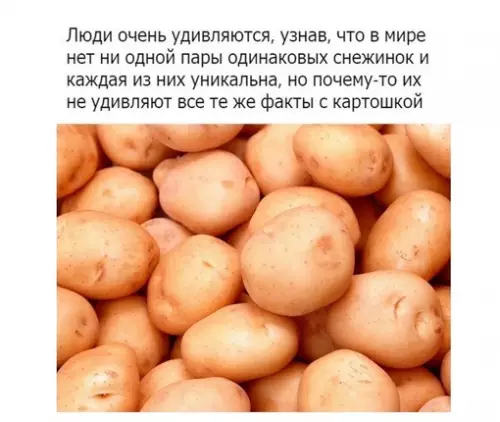 Смешная картинка №676414