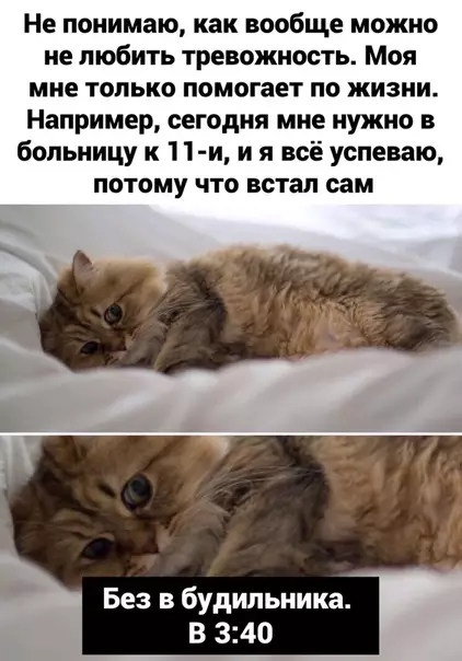Смешная картинка №467823