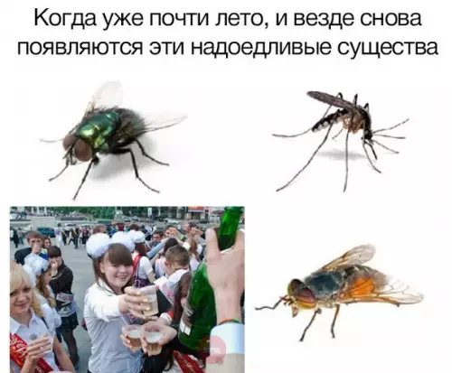 Смешная картинка №277053