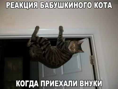 Смешная картинка №306532
