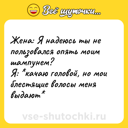 Шутка: Жена: Я надеюсь ты не пользовался опять моим шампунем? <br>Я: *качаю головой, но мои блестящие волосы меня выдают*