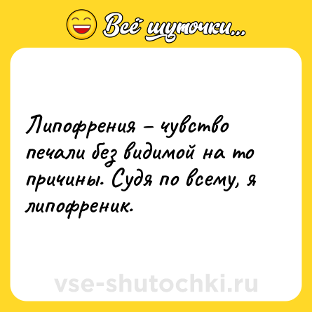 Шутка: Липофрения – чувство печали без видимой на то причины. Судя по всему, я липофреник.