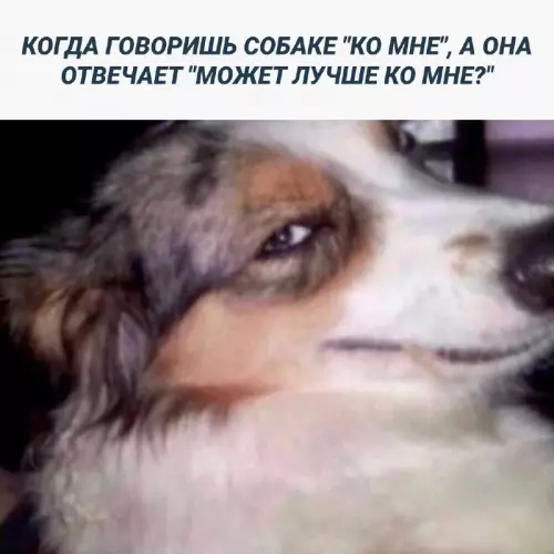 Смешная картинка №700809