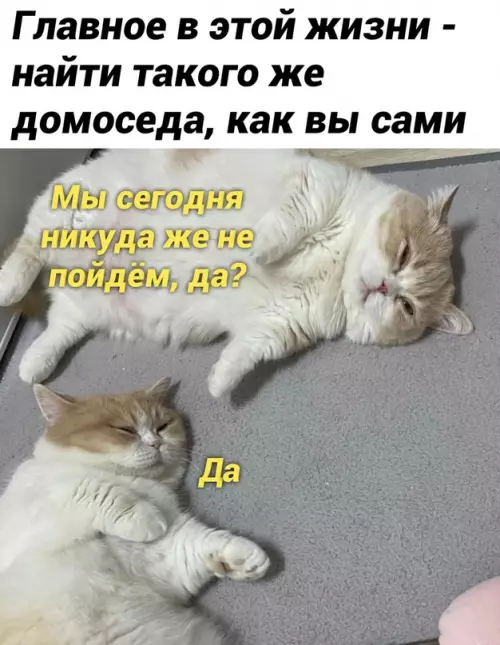 Смешная картинка №670626