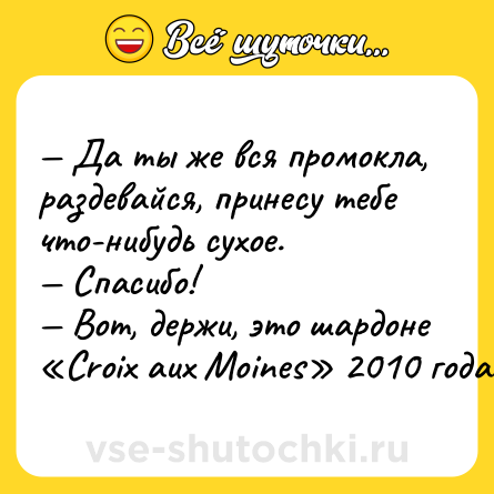 Шутка: — Да ты же вся промокла, раздевайся, принесу тебе что-нибудь сухое. <br>— Спасибо! <br>— Вот, держи, это шардоне «Croix aux Moines» 2010 года.