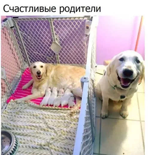 Смешная картинка №250197