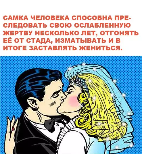 Смешная картинка №258571