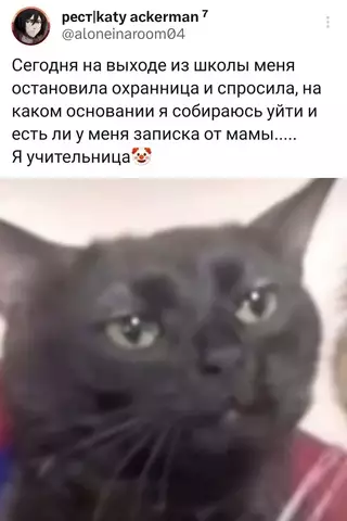 Смешная картинка №696625