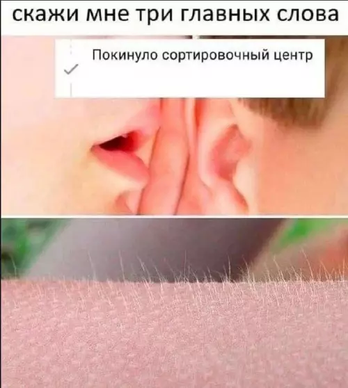 Смешная картинка №676460