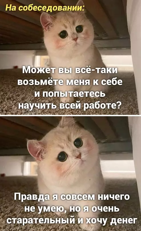 Смешная картинка №655859