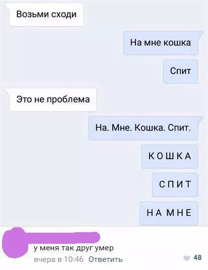 Смешная картинка №226261 кошки