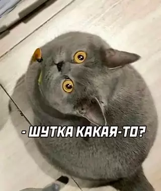 продолжение Смешная картинка №716136
