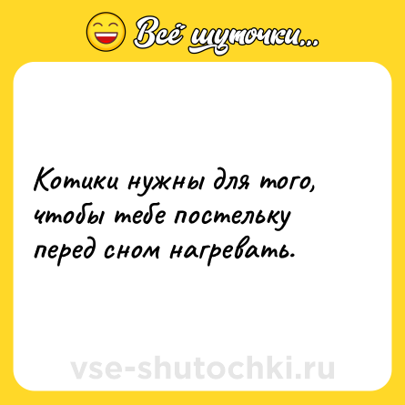 Шутка: Котики нужны для того, чтобы тебе постельку перед сном нагревать.