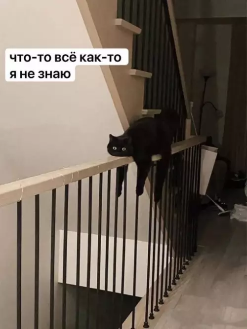 Смешная картинка №679748