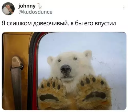 Смешная картинка №740101 Выглядит милым животные