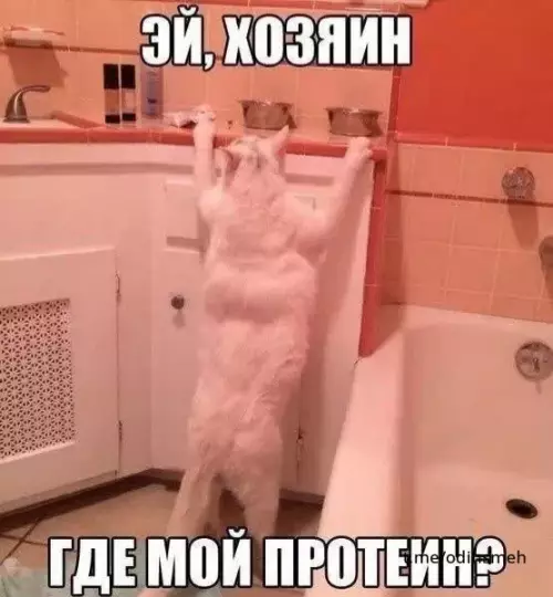 Смешная картинка №661352 картинки