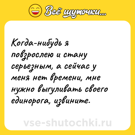 Шутка: Когда-нибудь я повзрослею и стану серьезным, а сейчас у меня нет времени, мне нужно выгуливать своего единорога, извините.