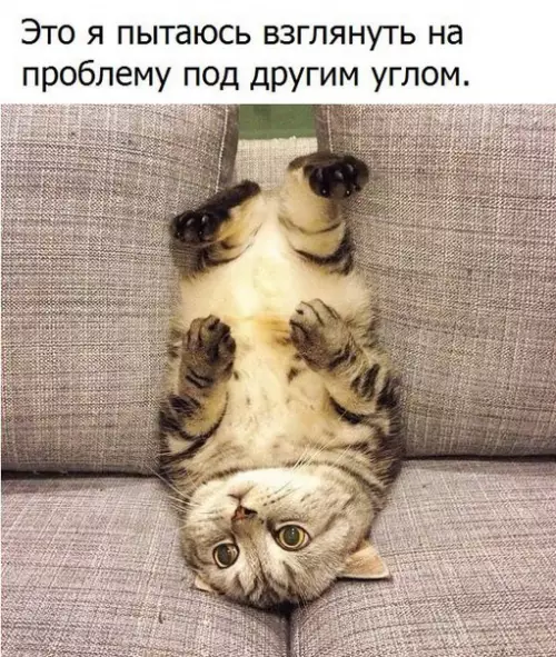 Смешная картинка №211725