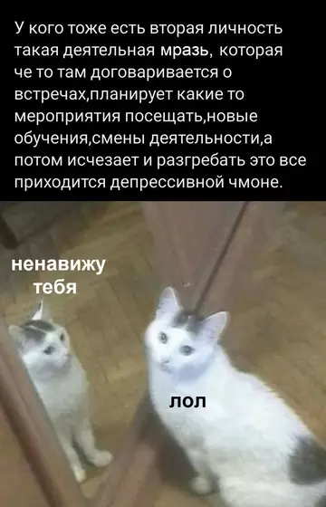 Смешная картинка №762524