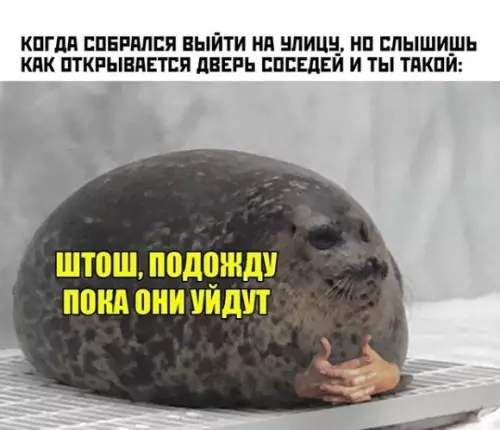 Смешная картинка №454706 Но соседи еще пол часа разговаривают на лестничной площадке