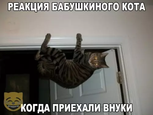 Смешная картинка №334574 #приколы #картинки #мемы ?
