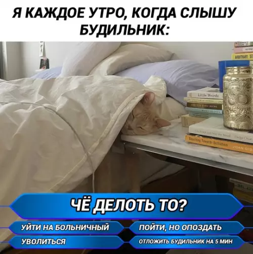 Смешная картинка №743378 Тяжелый выбор