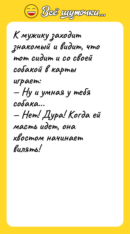 К мужику заходит знакомый и видит, что тот сидит и