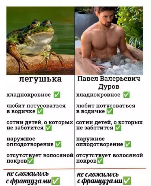 Павел Дуров или лягушка? 😂🐸 - легушка Павел Валерьевич Дуров хладнокровное хладнокровное любит потусоваться в водичке
