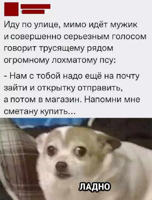 Смешная картинка №683058