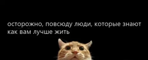 Смешная картинка №317445