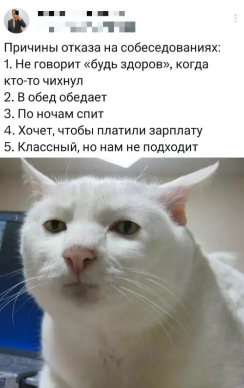 Смешная картинка №786479 Резонно