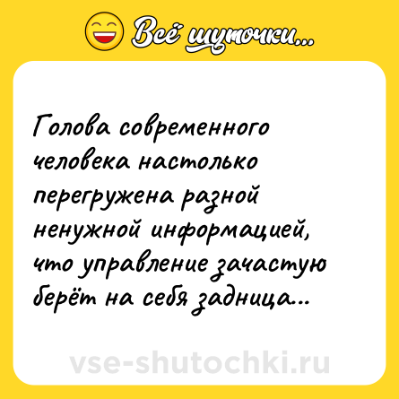 Шутка: Голова современного человека настолько перегружена разной ненужной информацией, что управление зачастую берёт на себя задница...