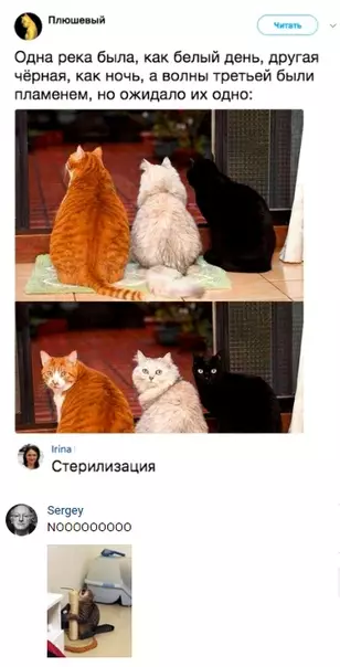 Смешная картинка №298119