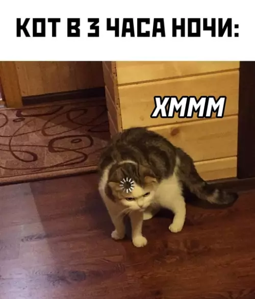 Смешная картинка №575493 Коты