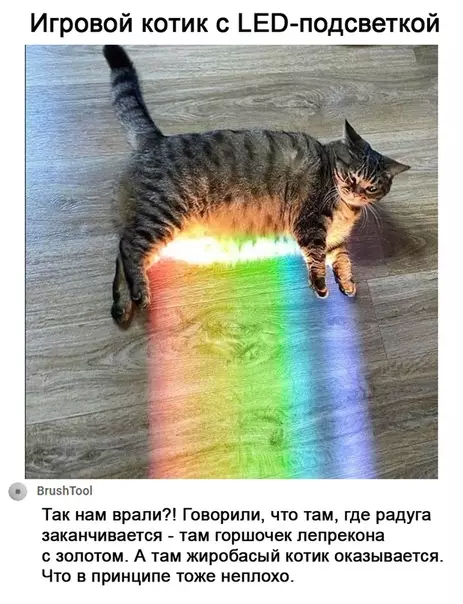 Смешная картинка №533651 Был бы у меня такой кот, может я бы и не женился бы никогда коты