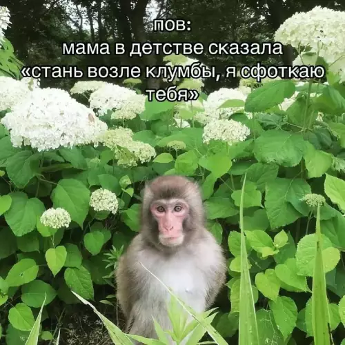 Смешная картинка №768060