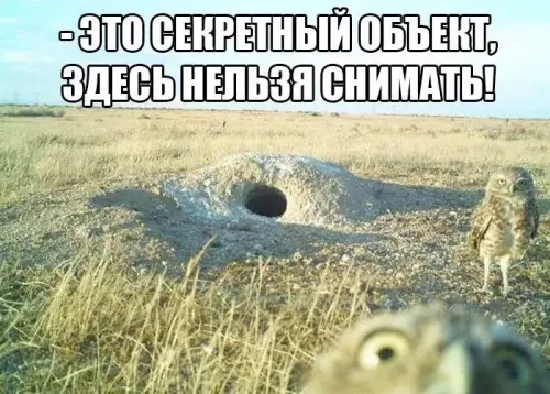 Смешная картинка №769920