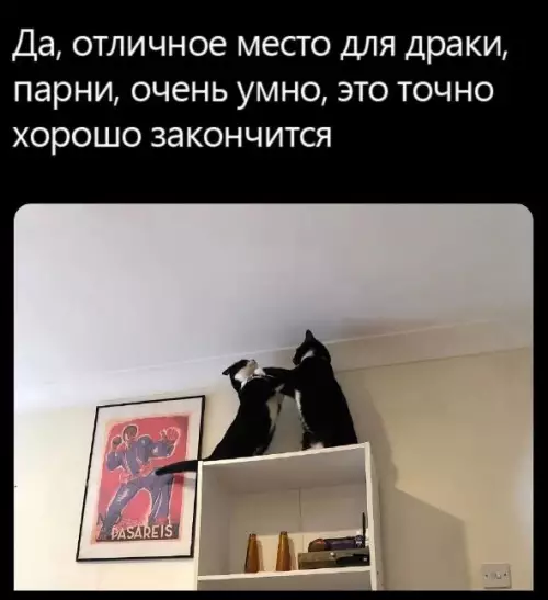 Смешная картинка №717614
