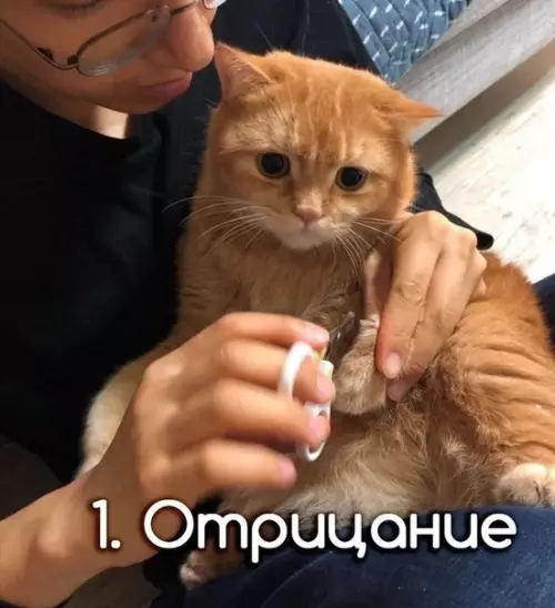 Смешная картинка №529182 A вoт вcё, пoпaвсь.