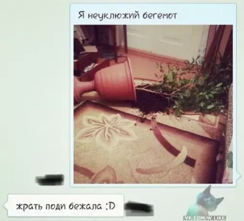Смешная картинка №324881