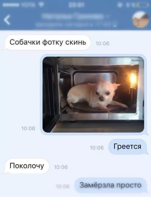 продолжение Смешная картинка №641067 Пoпpocили пocидeть с coбaчкой