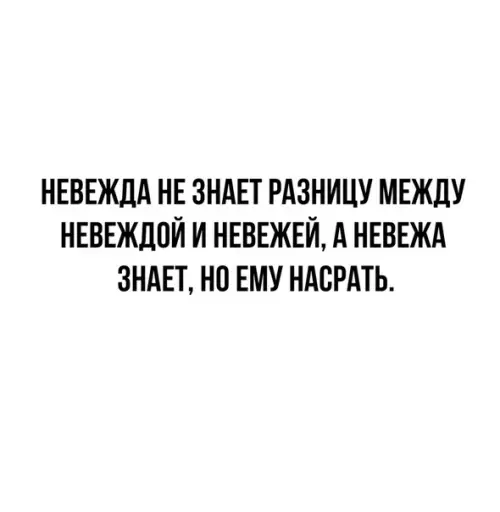 Смешная картинка №504340 Минутка лингвистического юмора