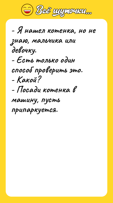 - Я нашел котенка, но не знаю, мальчика или девочку.