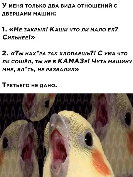 Смешная картинка №597774