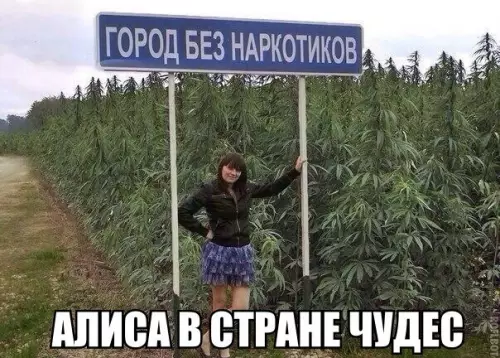 Смешная картинка №197869