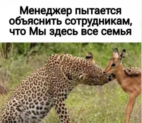 Смешная картинка №682451